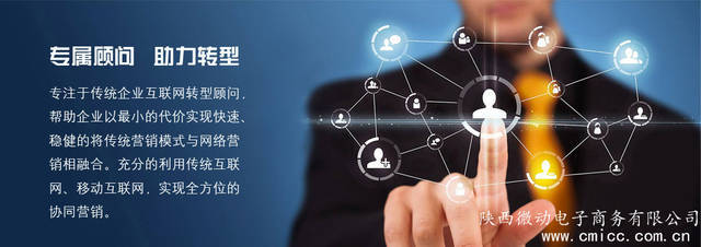 西安最專業(yè)的全網(wǎng)營(yíng)銷策劃公司 互聯(lián)網(wǎng)銷售的新引擎